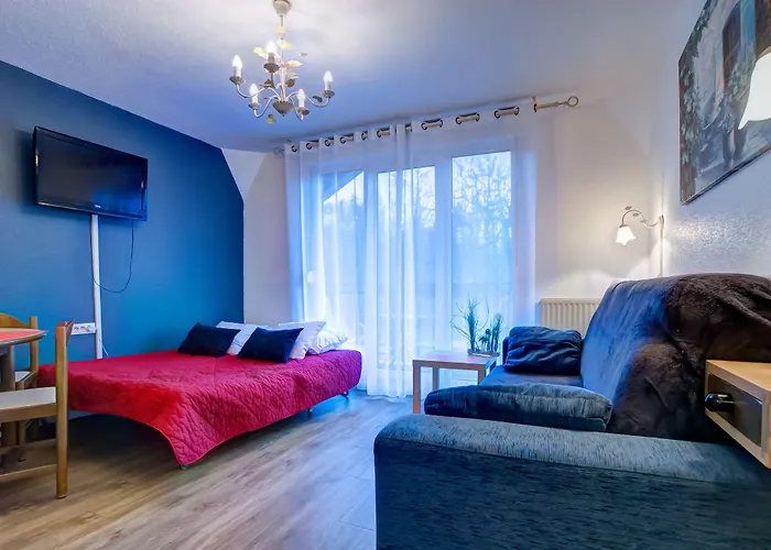 アパートホテル Des Sources 3*